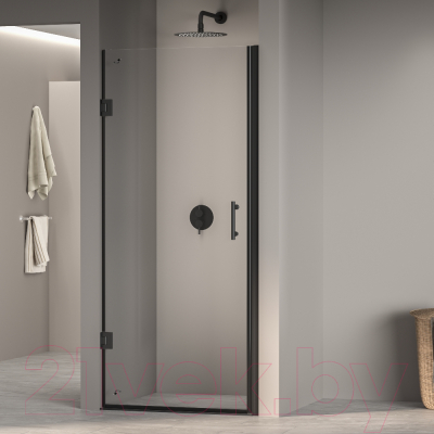 Душевая дверь RGW PA-06-B / 41080606-14