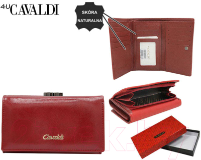 Портмоне Cedar 4U Cavaldi PX29-20-6574