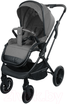 Детская универсальная коляска INDIGO Carry 2 в 1