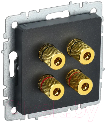 Розетка IEK Brite BR-S40-K02 - фото