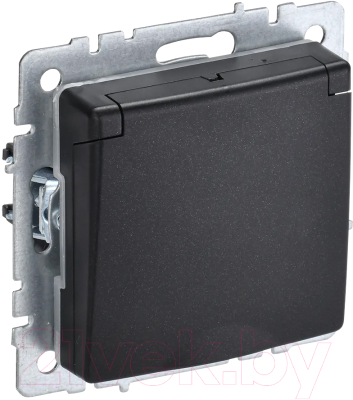 Розетка IEK Brite BR-R16-16-44-K02 - фото