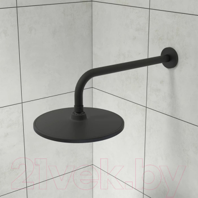 Лейка верхнего душа Iddis Optima Home OPH22BRi64