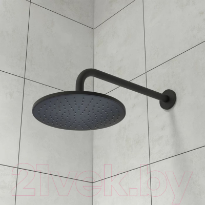 Лейка верхнего душа Iddis Optima Home OPH22BRi64