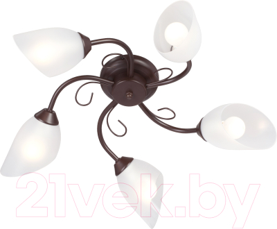 Люстра Vitaluce V3715/5PL - фото