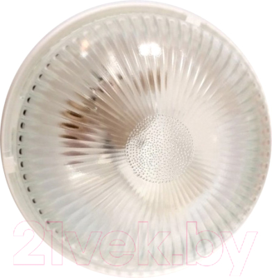 Светильник ЖКХ ВЕРТЕКС Вега / НБО 07-60-001 - фото