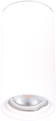 Потолочный светильник ST Luce ST155.502.01 (белый) - фото