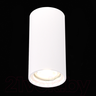 Потолочный светильник ST Luce ST155.502.01 (белый)