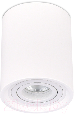 Потолочный светильник ST Luce ST156.502.01 (белый) - фото