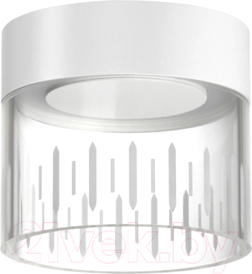 Потолочный светильник Novotech Over 359001 - фото