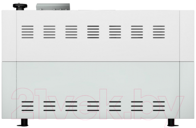 Газовый котел Лемакс Clever L-100