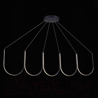 Потолочный светильник ST Luce SL6202.413.01