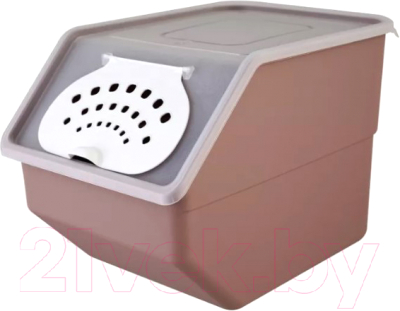 Емкость для хранения Полимербыт Для овощей / C821 - фото
