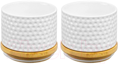 Набор емкостей для хранения Elan Gallery Сфера / 540318