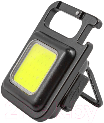 Фонарь Forsage F-JBEL9904 - фото