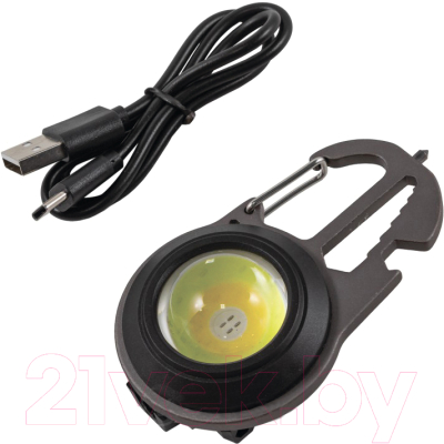 Фонарь Forsage F-JBEL9905