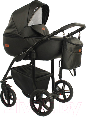 Детская универсальная коляска Ray Mile Gold 2 в 1 - фото