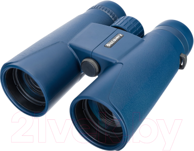 Бинокль Discovery Elbrus 10x42 / 79581 - фото