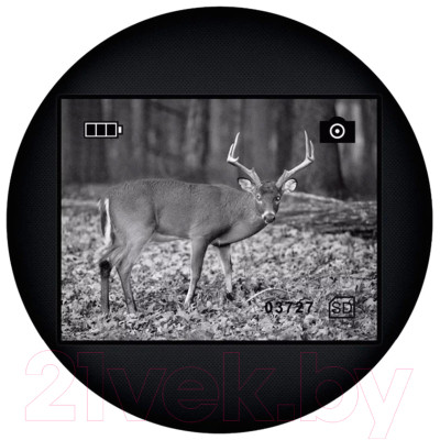 Монокуляр Levenhuk Atom Digital DNM100 / 81699