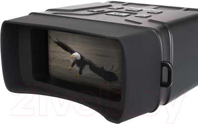 Бинокль Levenhuk Atom Digital DNB100 / 81701