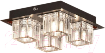 Люстра Lussole Notte Di Luna LSF-1307-04 - фото