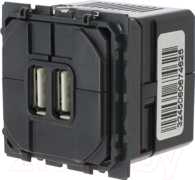 Розетка Legrand Celiane 67462 - фото