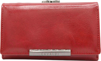 Портмоне Cedar 4U Cavaldi / PX23-21-6604 - фото