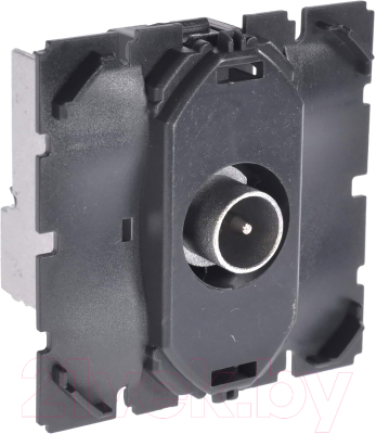 Розетка Legrand Celiane 67386 - фото