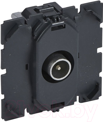 Розетка Legrand Celiane 67387 - фото