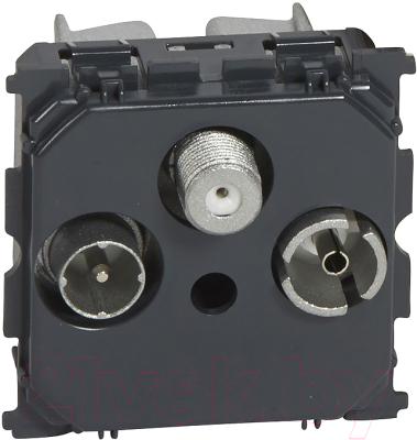 Розетка Legrand Celiane 67388 - фото