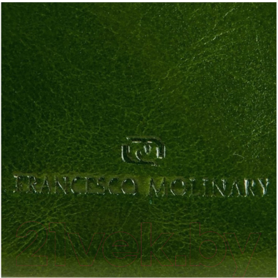 Портмоне Francesco Molinary 895-3105-GRN