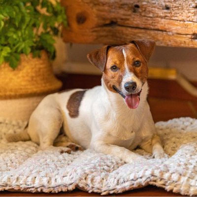 Подстилка для животных Ferplast Vanilla 60 / 81085021