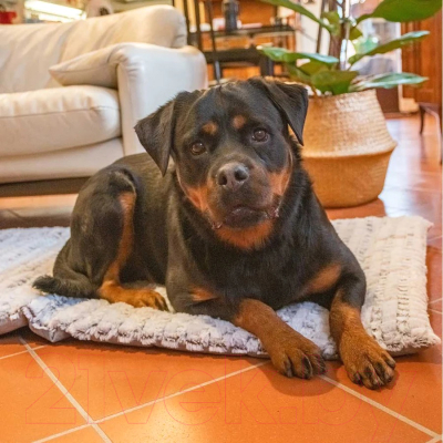 Подстилка для животных Ferplast Vanilla 60 / 81085021