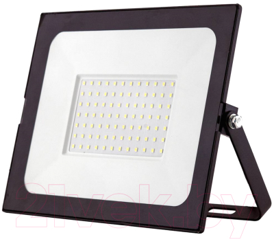 Прожектор Glanzen FAD-0010-100 - фото