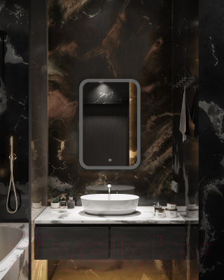 Зеркало Silver Mirrors Стив 50.5x75 / LED-00002582