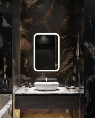 Зеркало Silver Mirrors Стив 50.5x75 / LED-00002582