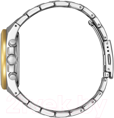 Часы наручные мужские Citizen AN8176-52L