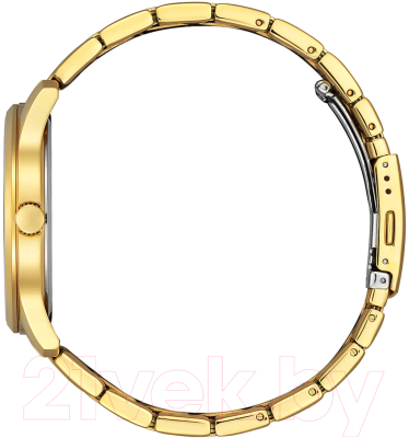 Часы наручные мужские Citizen BH5002-53E