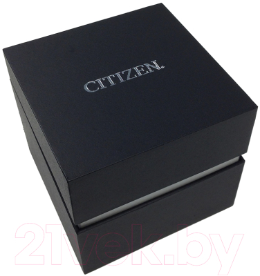 Часы наручные мужские Citizen BI1054-80E