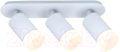 Спот Imex IL.0005.1501-3 WH - фото