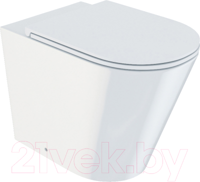 Унитаз приставной IDDIS Calipso Rimless CALRDSEi26 - фото