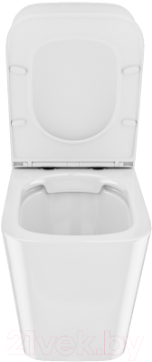 Унитаз приставной IDDIS Bild BILRDSEi26