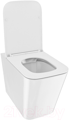 Унитаз приставной IDDIS Bild BILRDSEi26