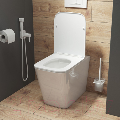 Унитаз приставной IDDIS Bild BILRDSEi26