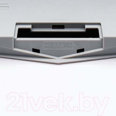 Напольные весы электронные Galaxy GL 4815