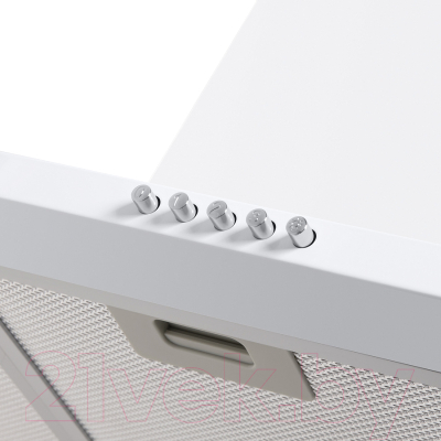 Вытяжка купольная Maunfeld Cork 60