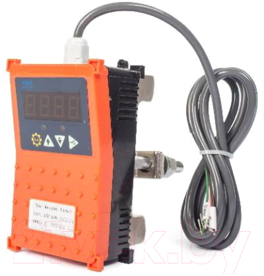 Ограничитель грузоподъемности для талей TOR 5т INP-A / 119515 (оранжевый) - фото