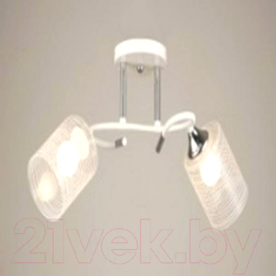 Потолочный светильник Aitin-Pro N4523/2 - фото