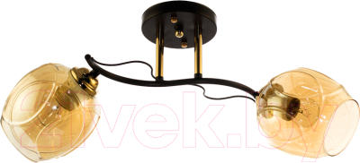 Потолочный светильник Aitin-Pro N4623/2 - фото