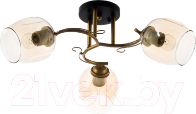 Потолочный светильник Aitin-Pro N4613/3 - фото