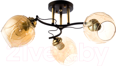 Потолочный светильник Aitin-Pro N4623/3 - фото